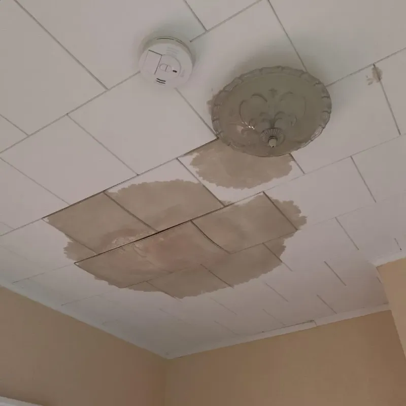 Ceiling Water Damage Repair in Union City, OH