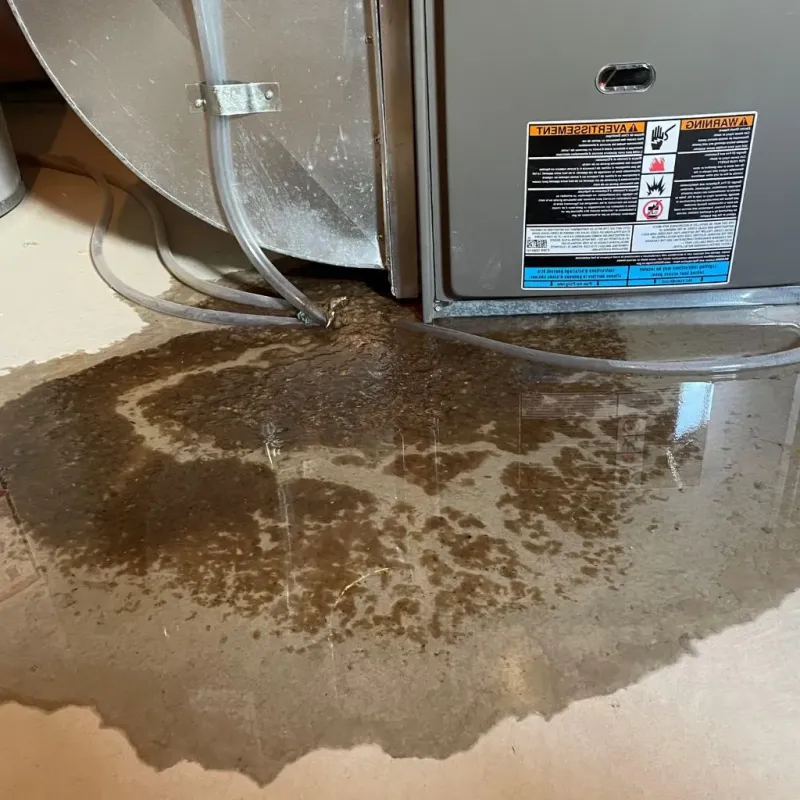 Pipe Burst and Leak Restoration in Union City, OH