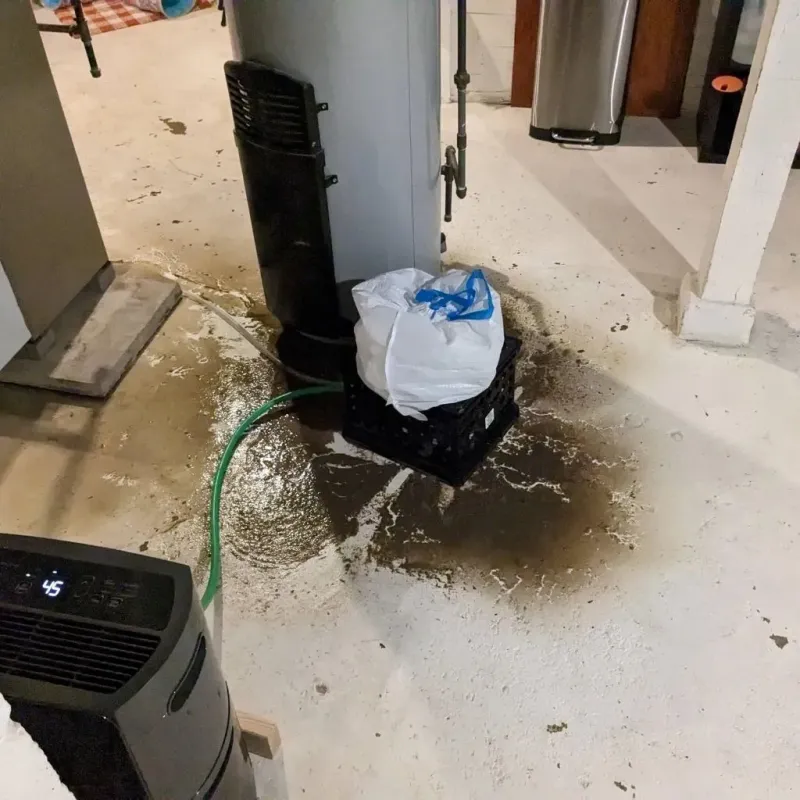 Sewage Backup Cleanup Service in Union City, OH